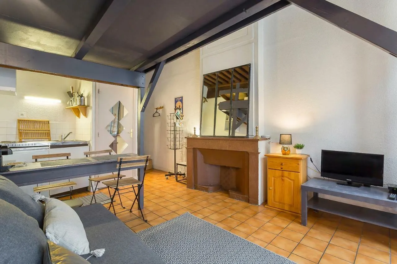 La Fenetre Saint Jean Appartement Lyon 0*,  Frankrijk