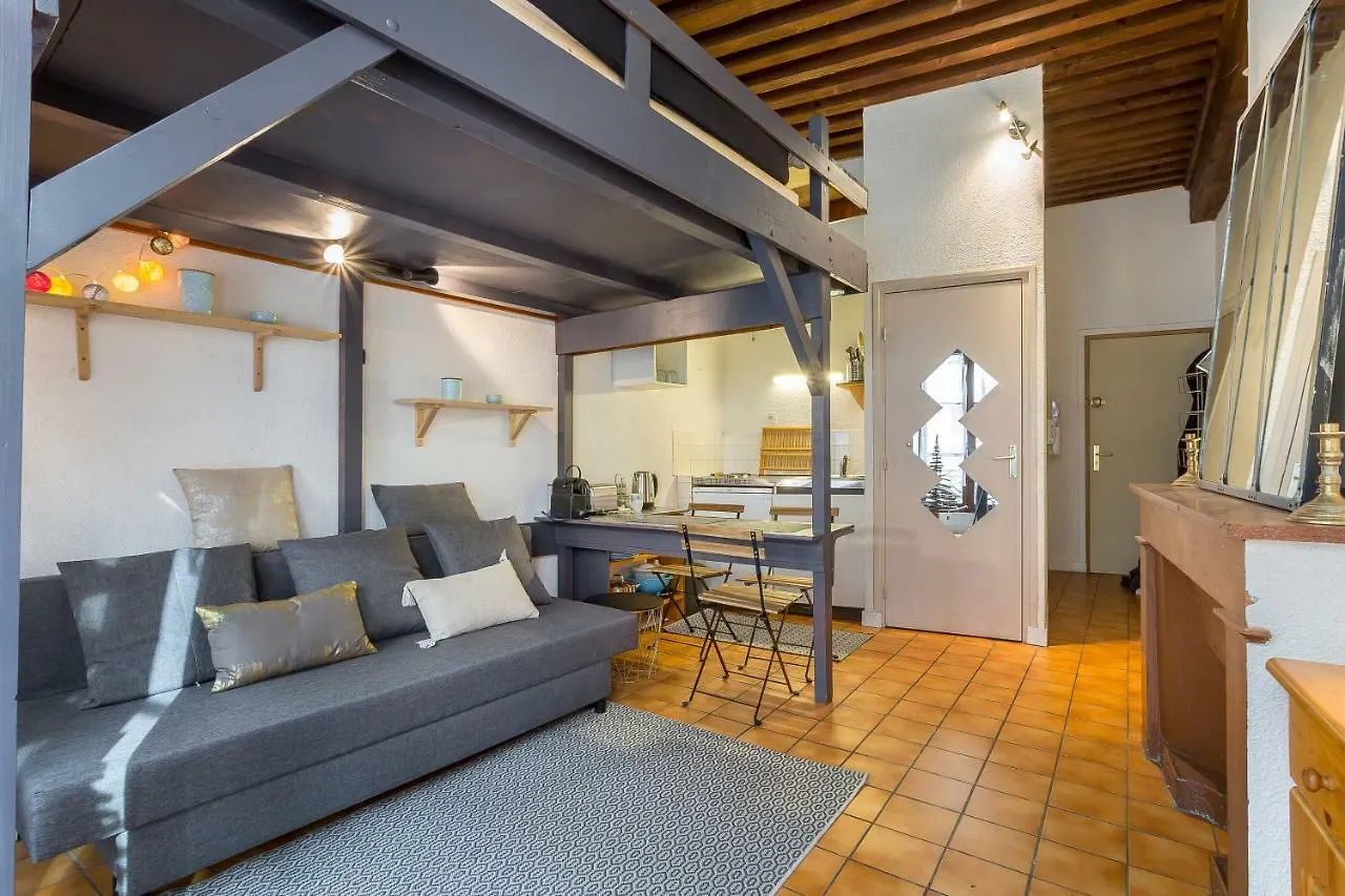 La Fenetre Saint Jean Appartement Lyon