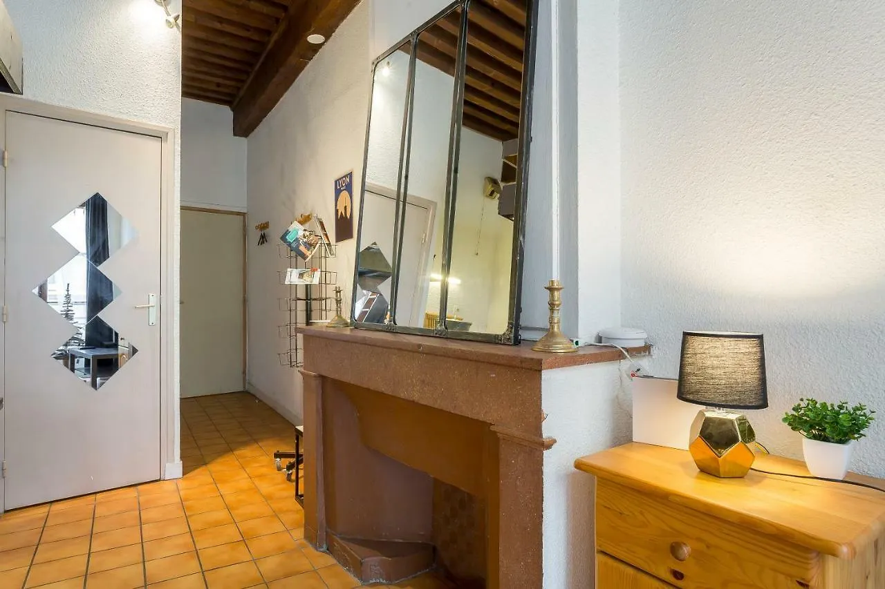Apartamento La Fenetre Saint Jean Lyon