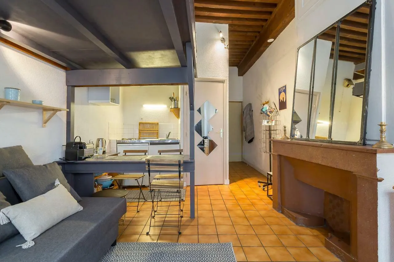 Apartamento La Fenetre Saint Jean Lyon
